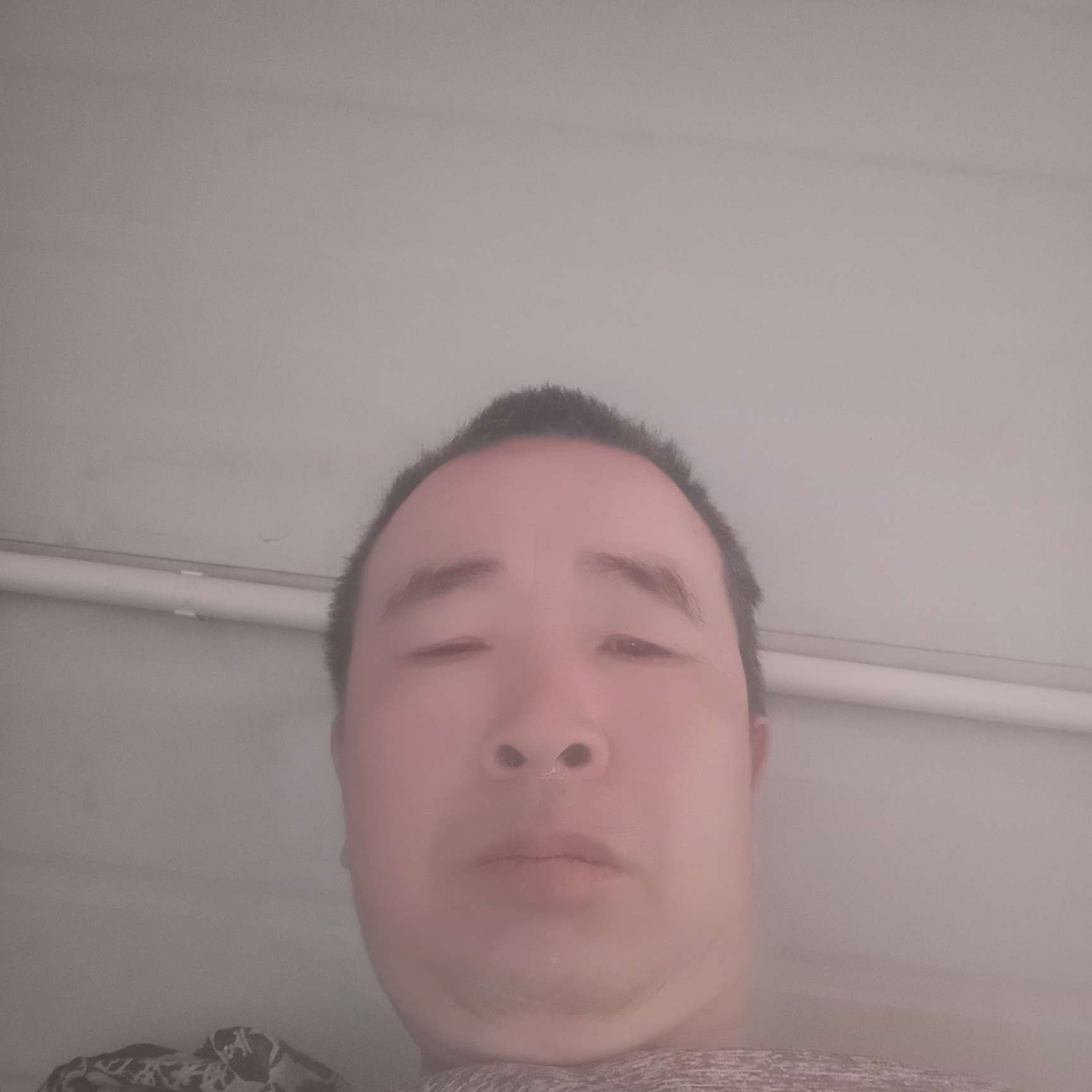 明亮就黄蜂的照片