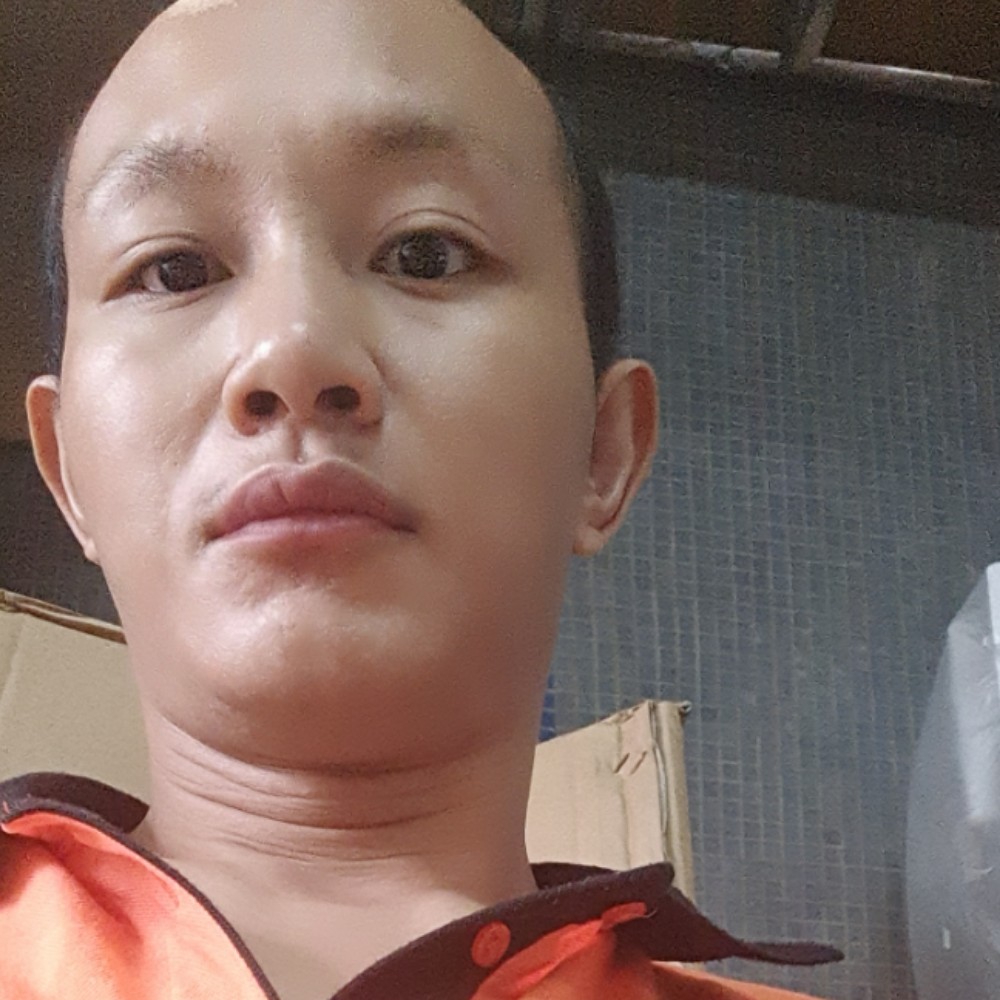 小巧迎绿茶的照片