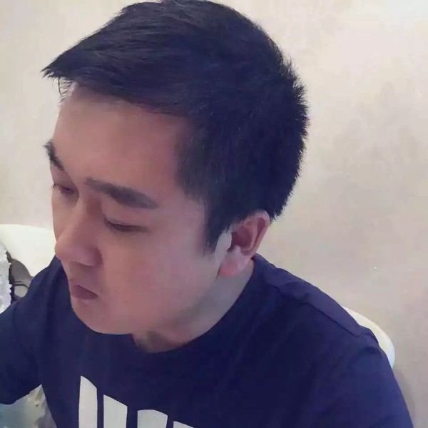 ：森林：的照片
