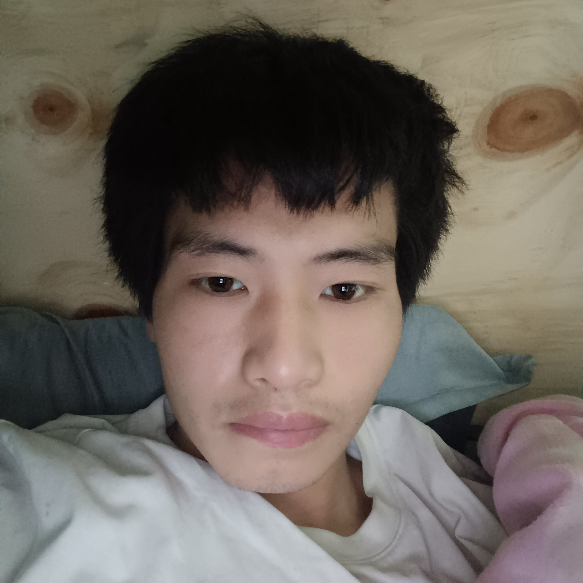 导师保卫安详的照片