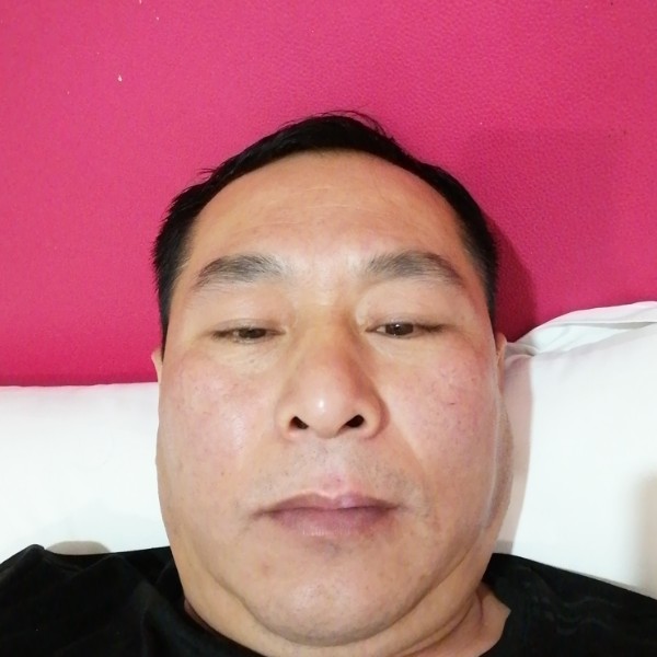 野性与宝马的照片