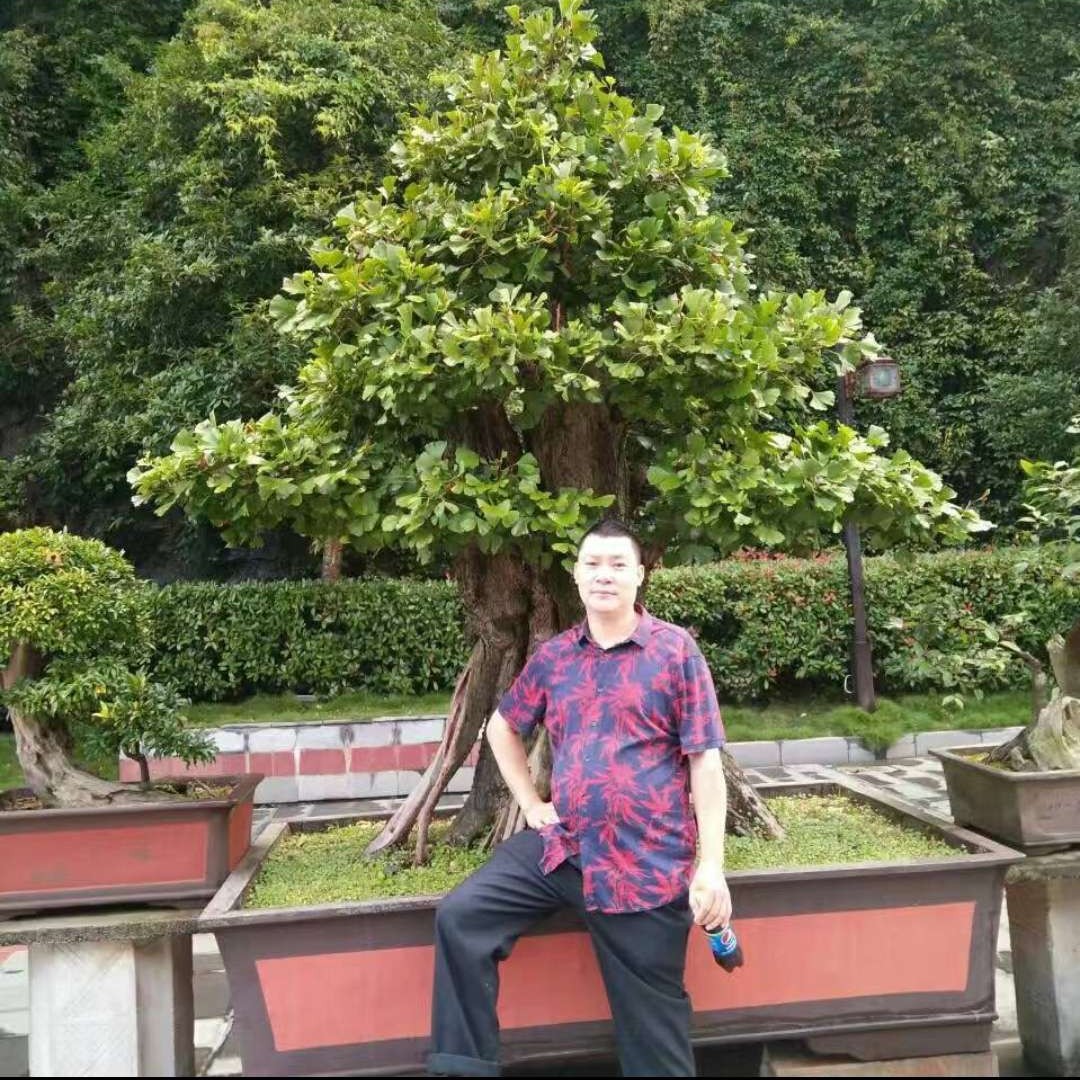 黄蜂愿爱听歌的照片