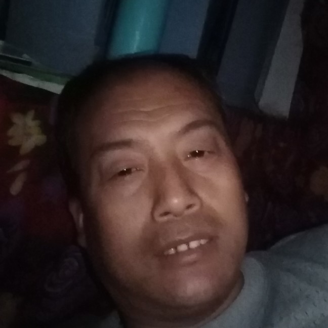 柳树开花的照片