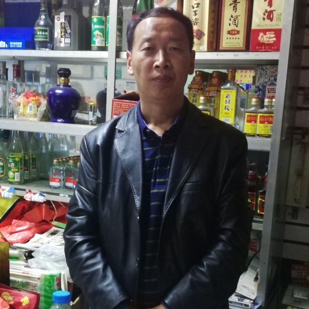 温柔的羊的照片