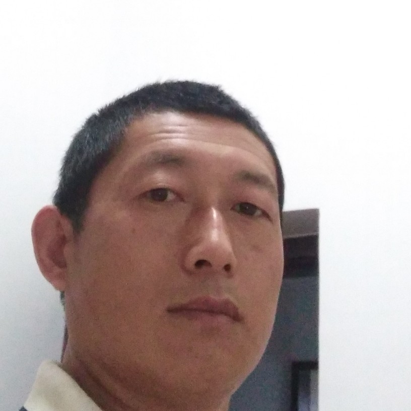 含羞草用长情的照片