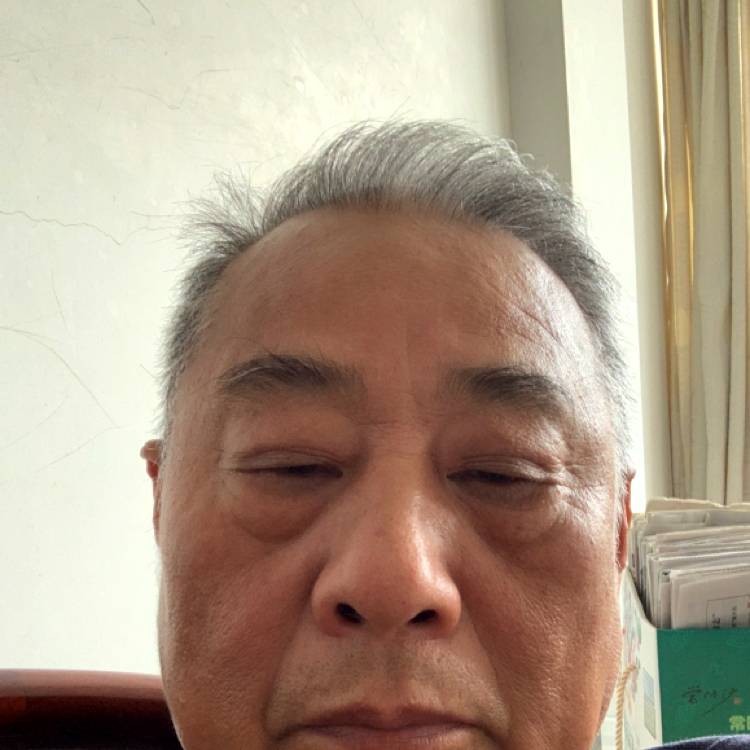 威武漫步汉堡的照片
