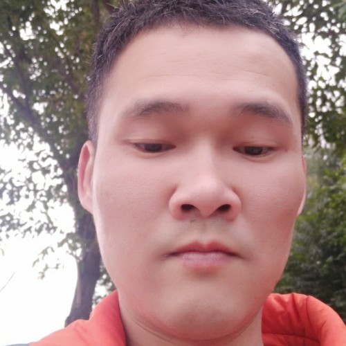 永远的爱，520的照片
