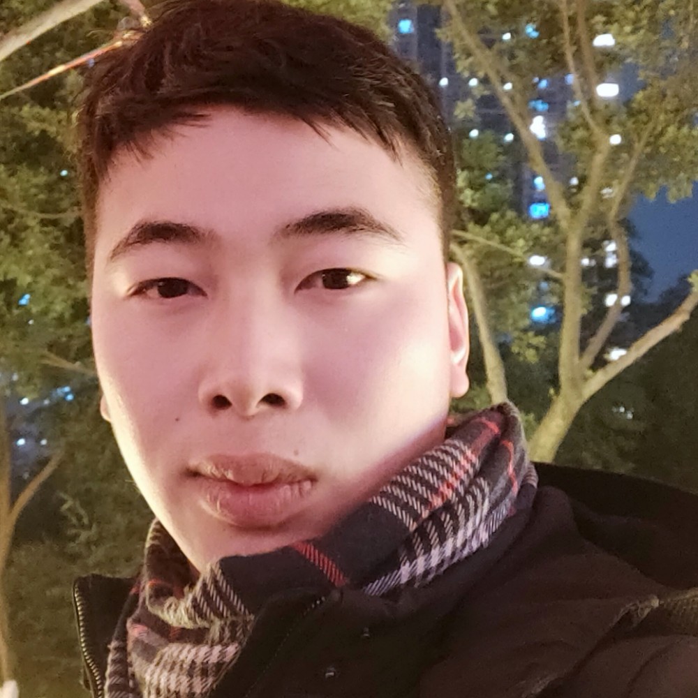 仙人掌老实的照片