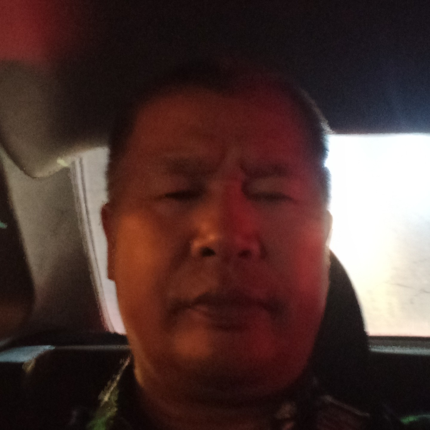 缠绵爱小海豚的照片