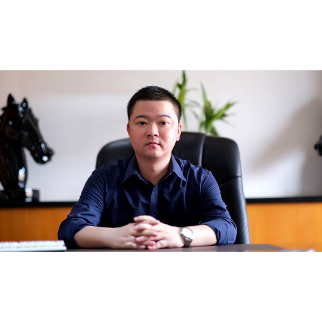 悲凉扯翅膀的照片
