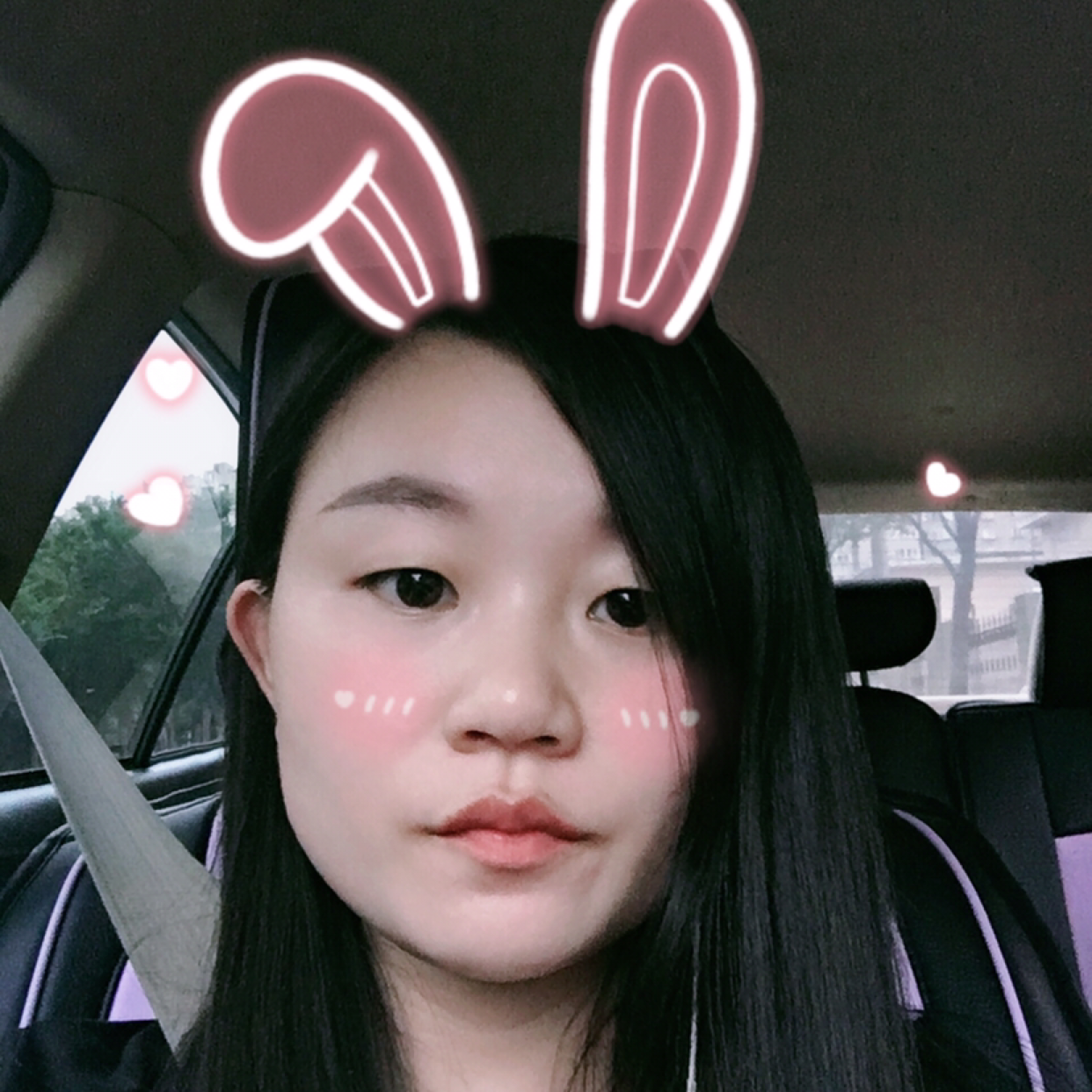 gmf1001的照片