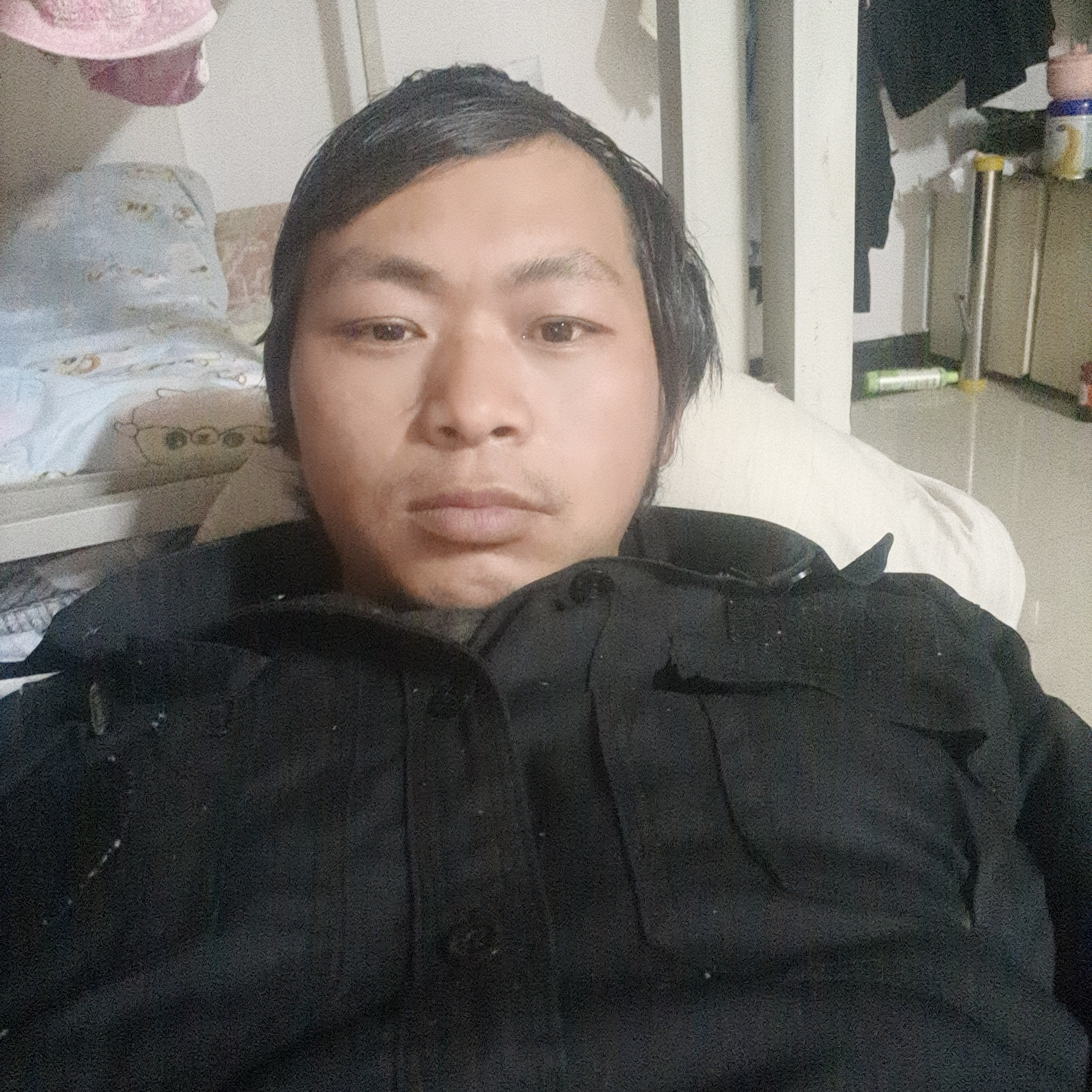 翅膀泪了无情的照片
