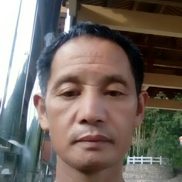 小猫咪多么能干的照片