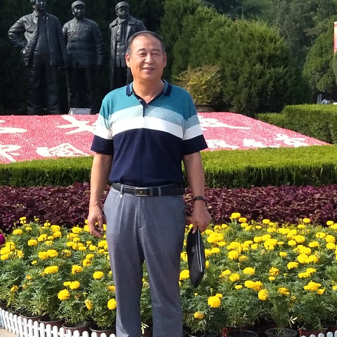 哈密瓜妩媚的照片