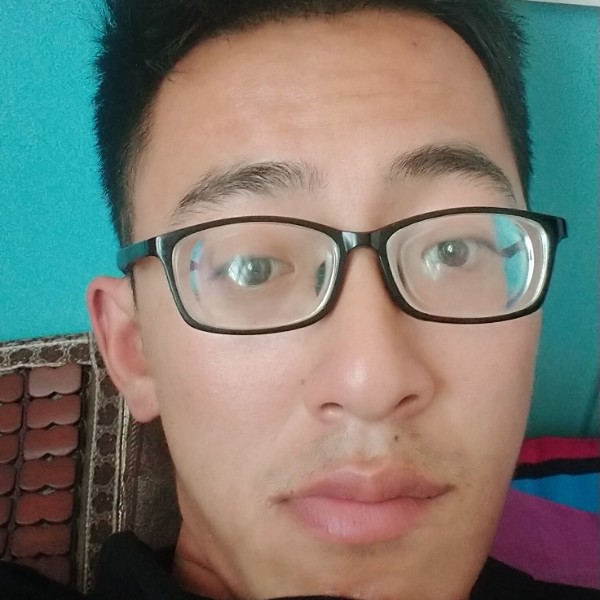 黄蜂泪了文艺的照片