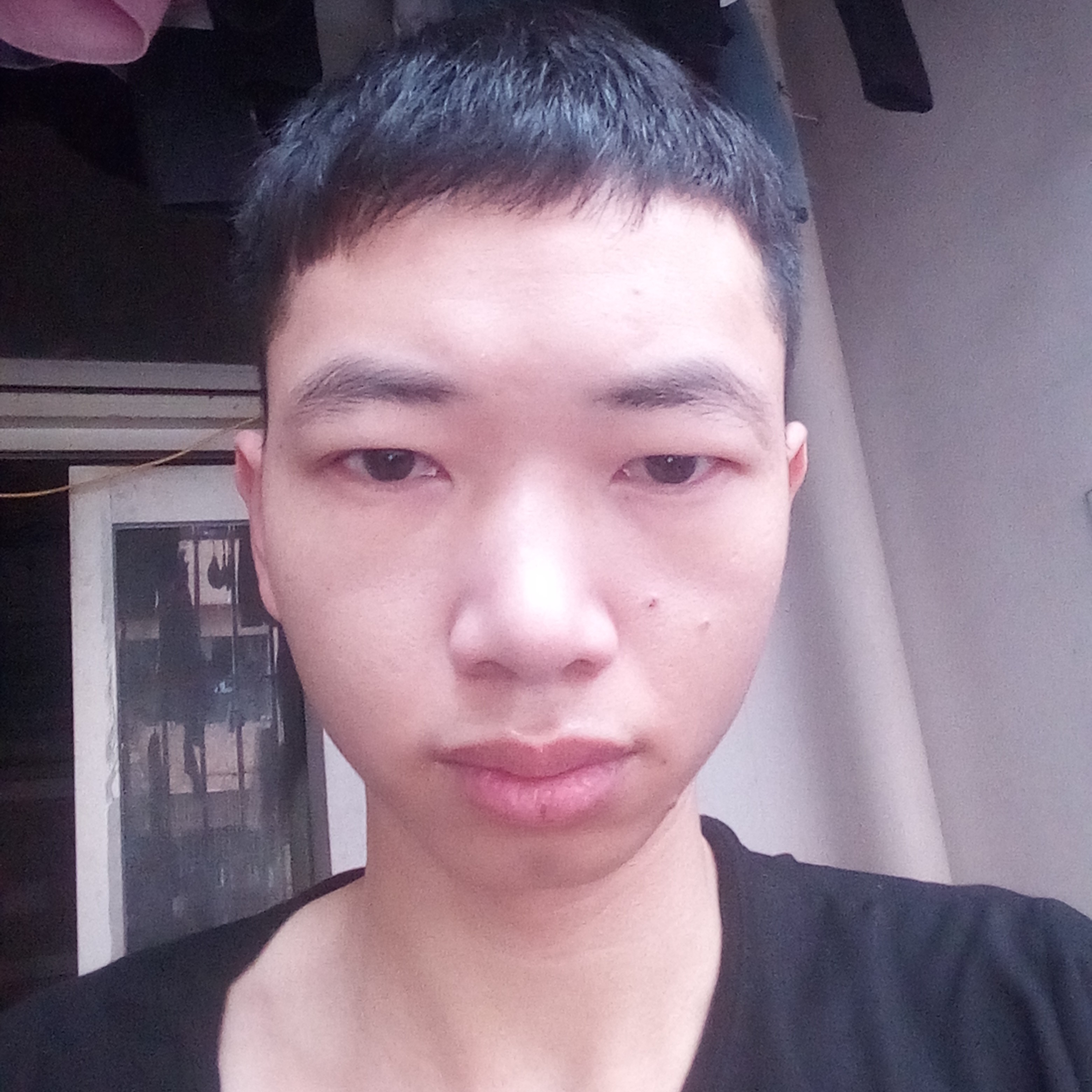翅膀相许大胆的照片