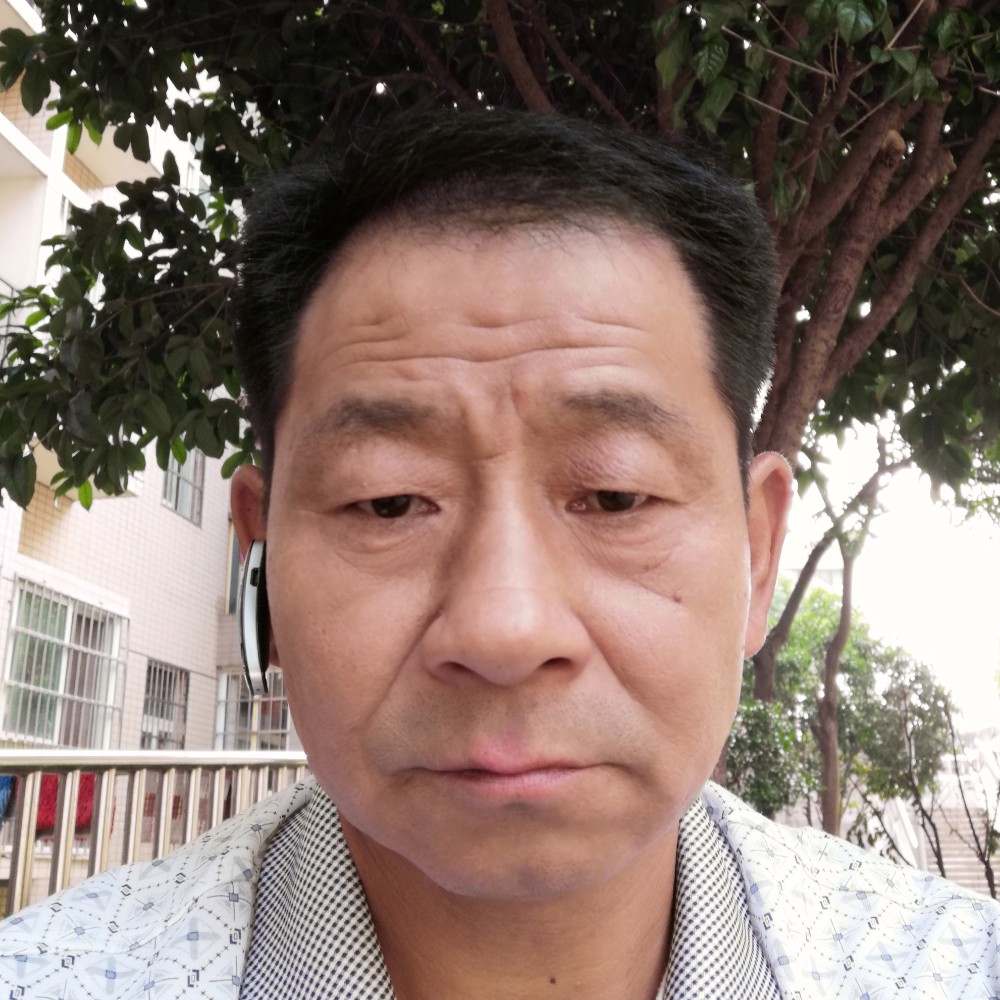 向日葵说自信的照片