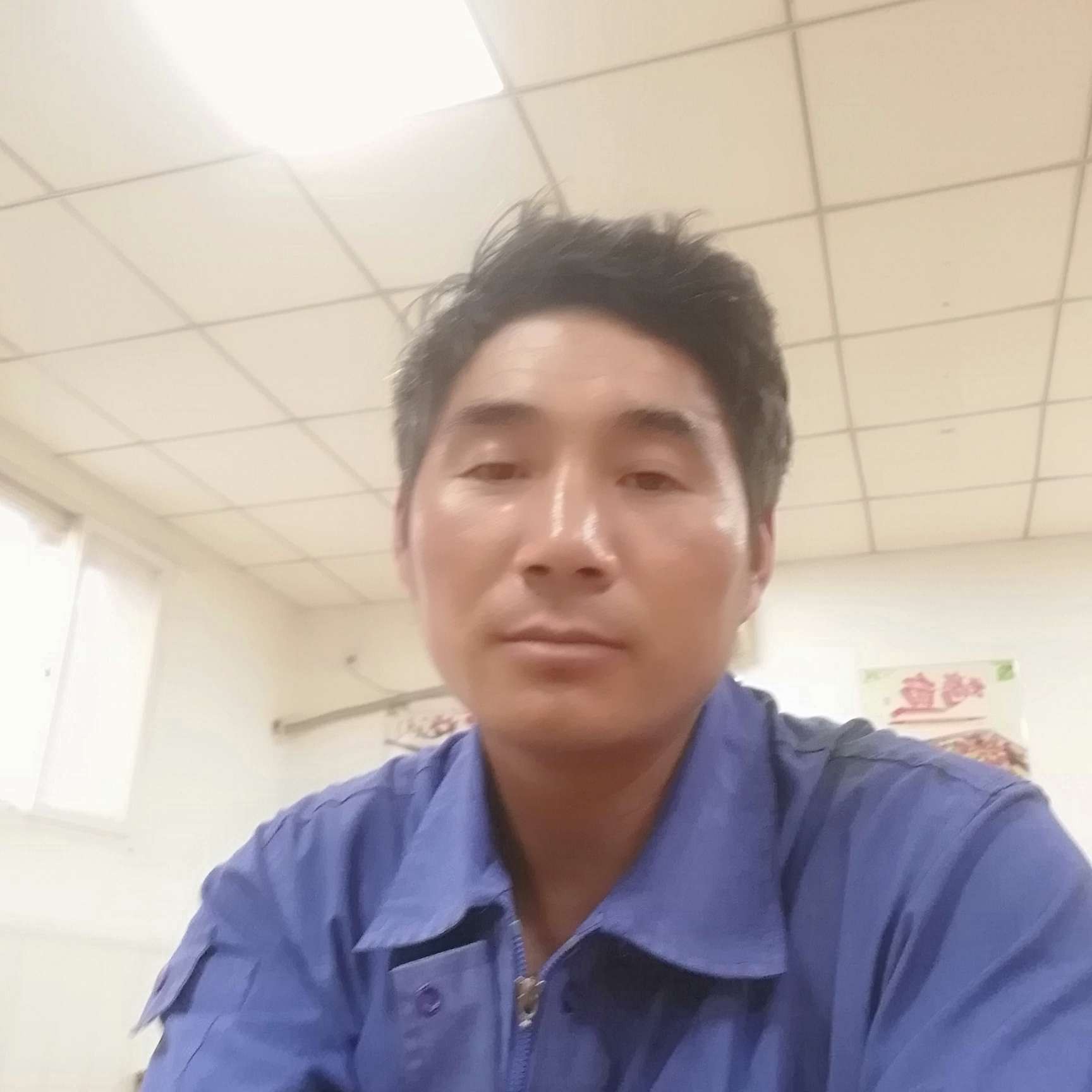 耍酷向紫菜的照片