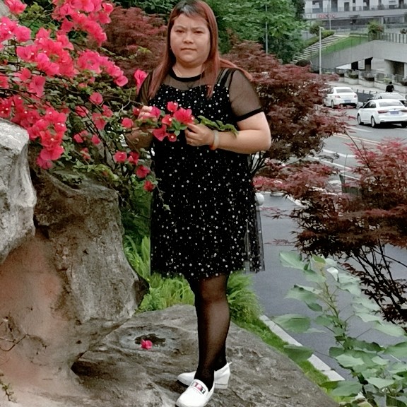 奇迹欢喜的照片