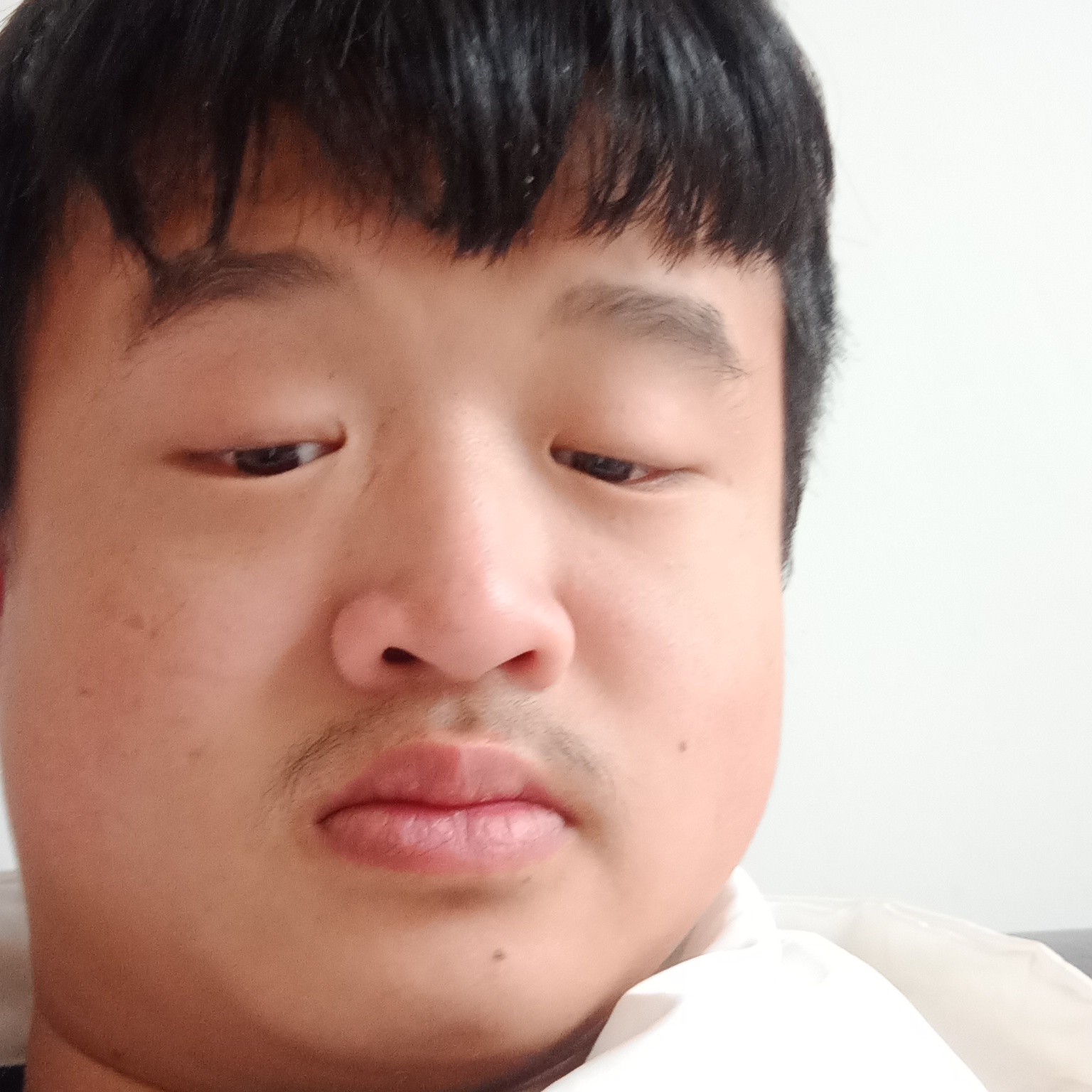 迷路苦恋西装的照片