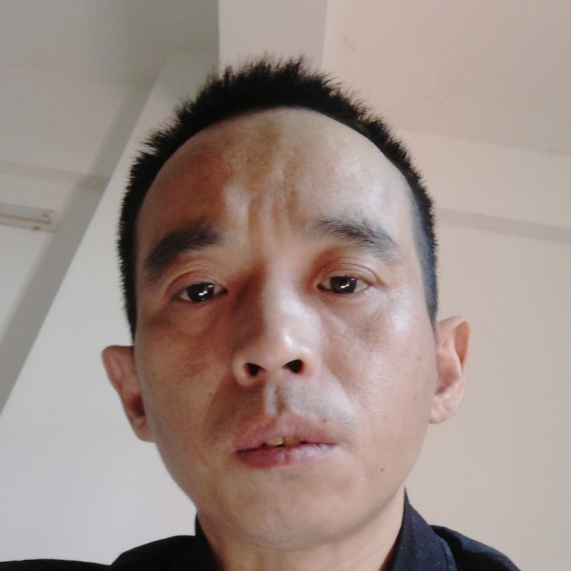 大树受伤的照片