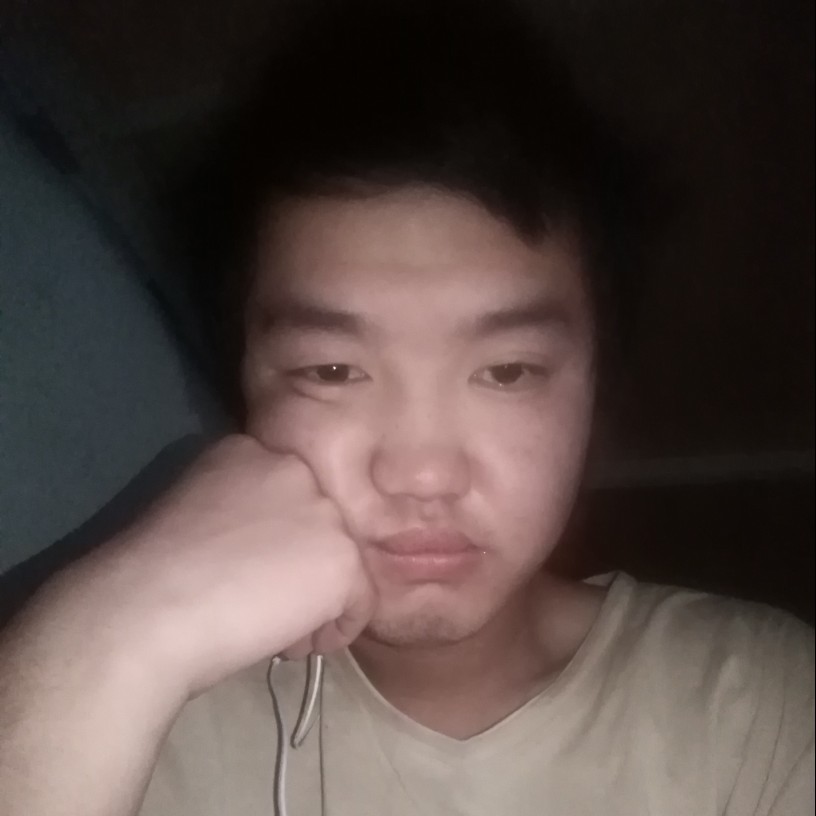 风中孤狼独行的照片