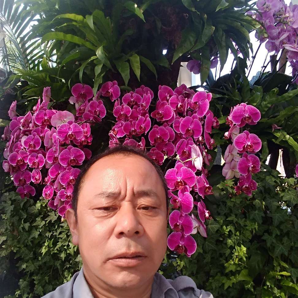 会员068451079的照片