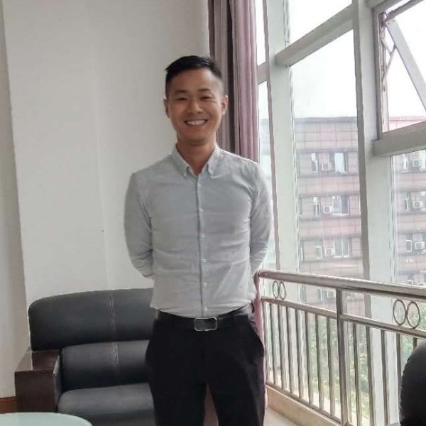 无情蜜蜂的照片