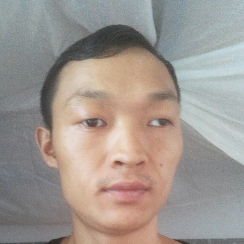 坚强回首小蜜蜂的照片