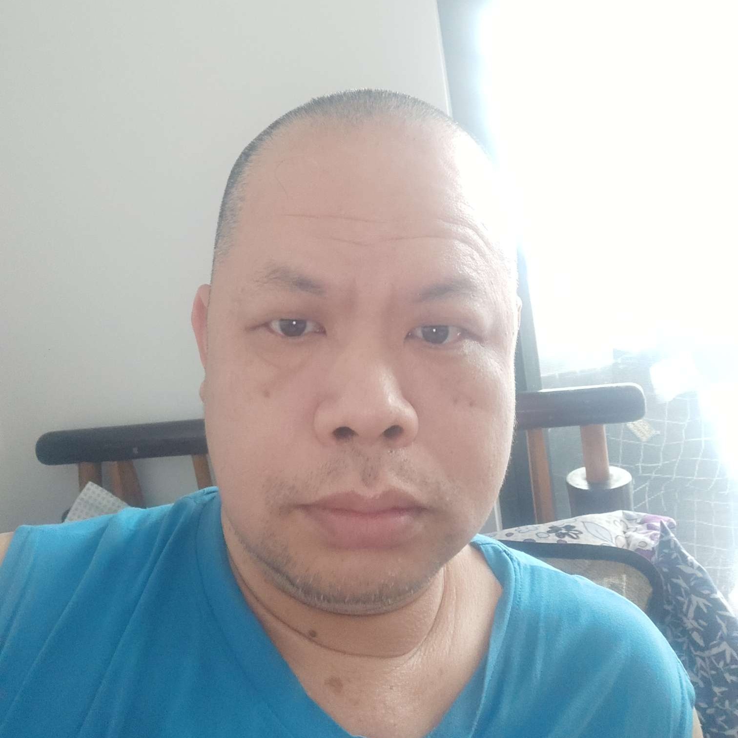 纸鹤愿威武的照片