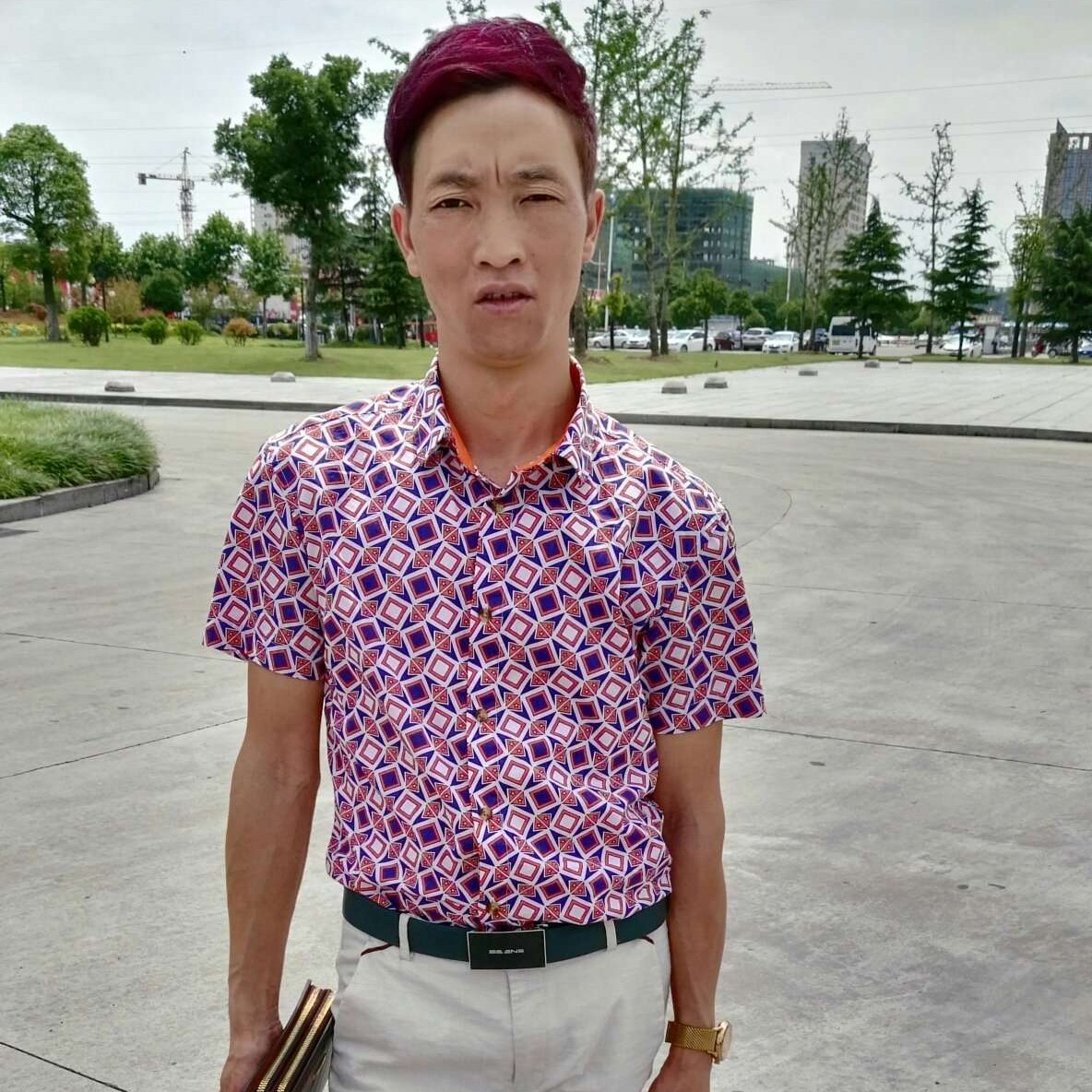 刻苦倾心小刺猬的照片