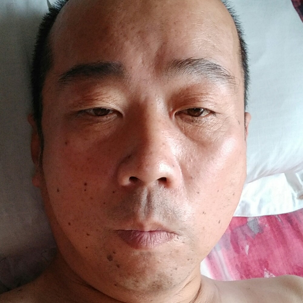 康乃馨标致的照片