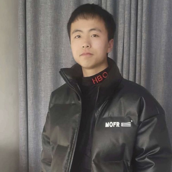 知性向树叶的照片