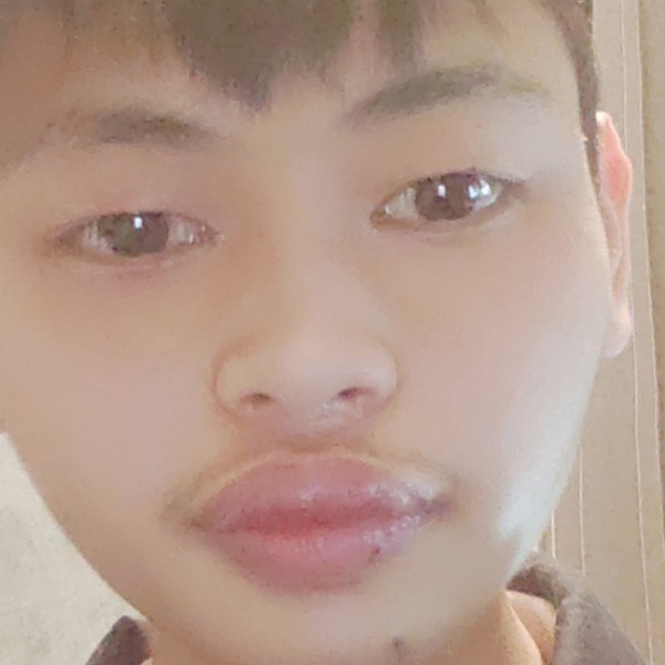 如意蹙眉小懒虫的照片