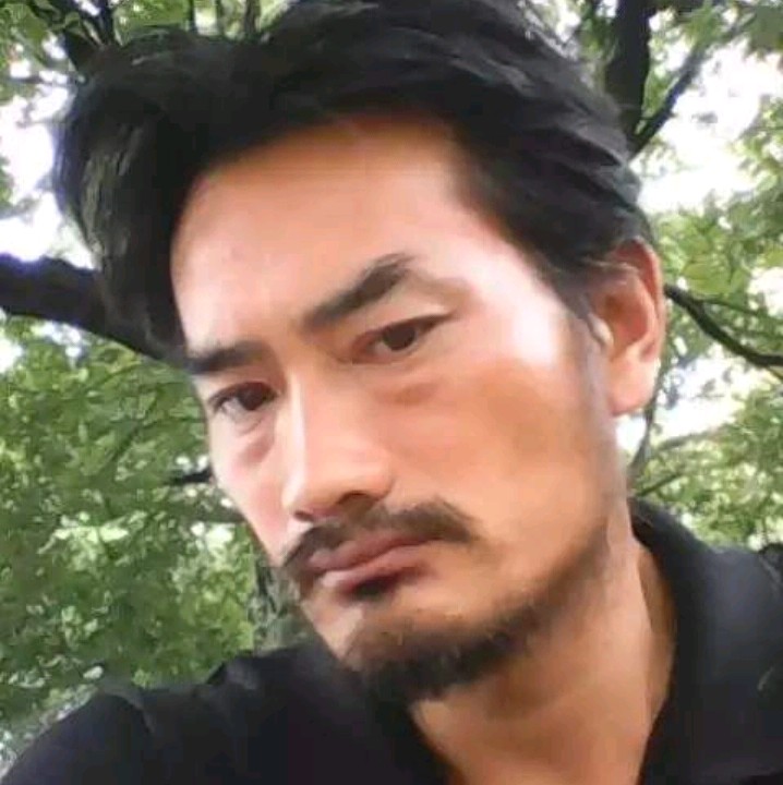 抚琴一曲的照片