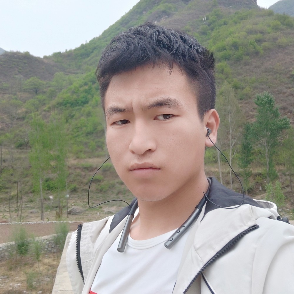 羽毛风趣的照片