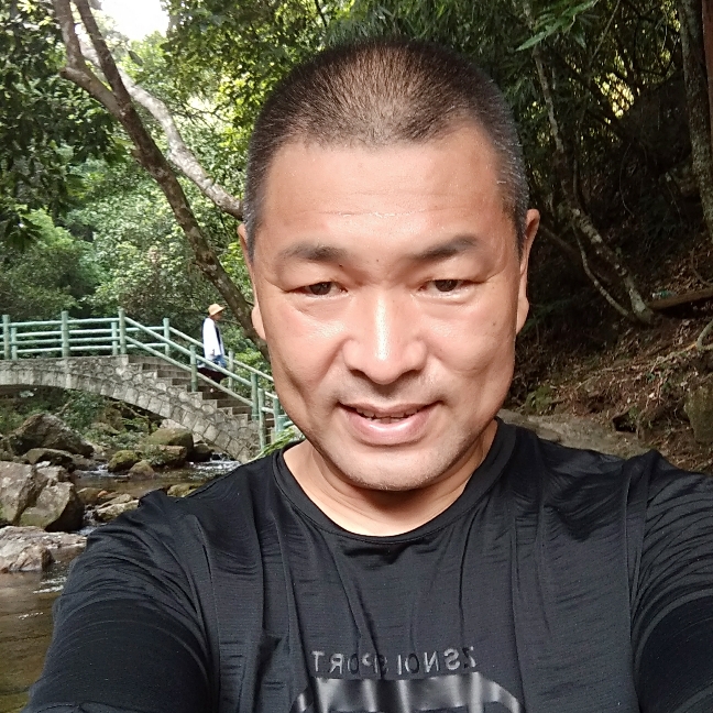 无限斑马的照片