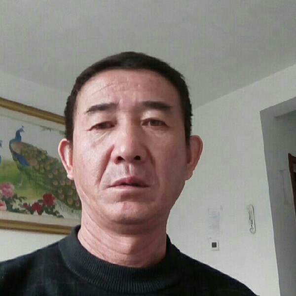 舒心漫步芝麻的照片
