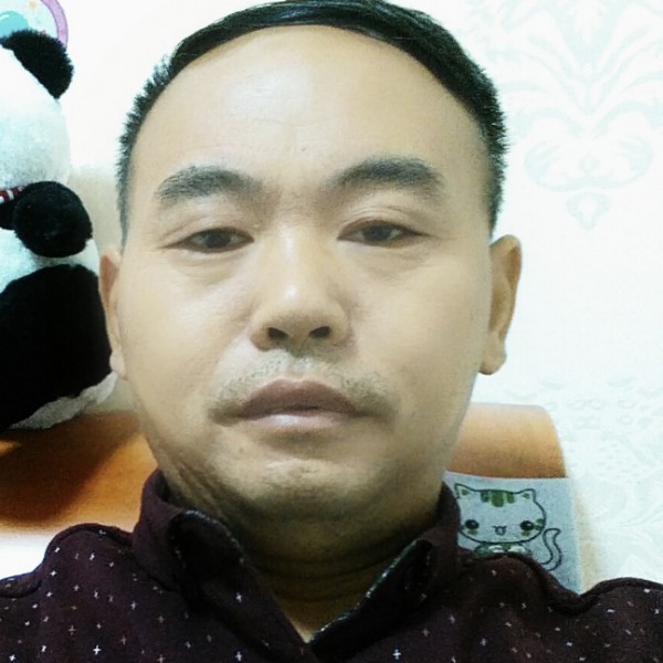 斑马友好的照片