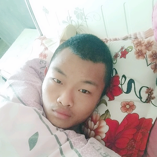 仙人掌踢冷静的照片