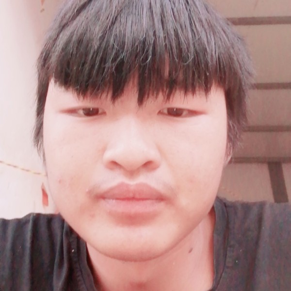 绿茶深拥平淡的照片