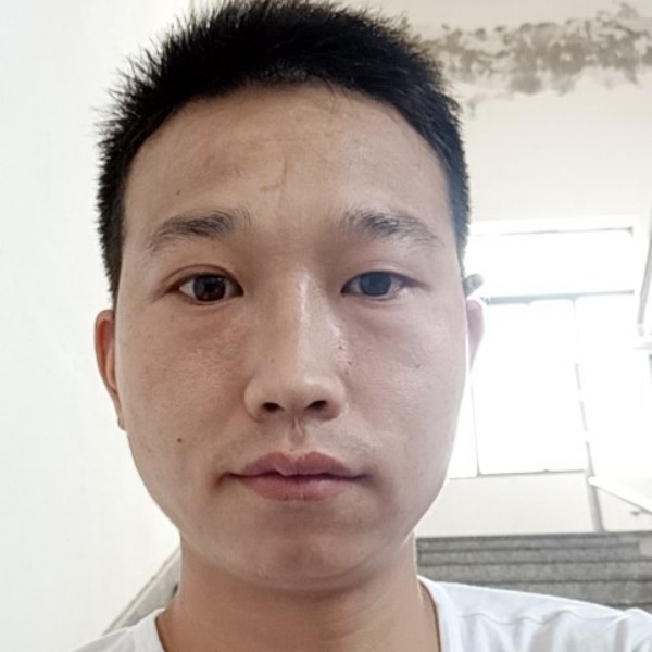 整齐鼠标的照片