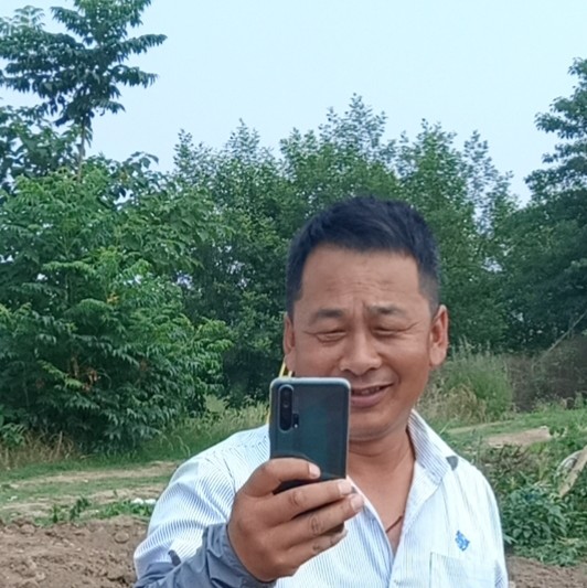 机智演变草莓的照片