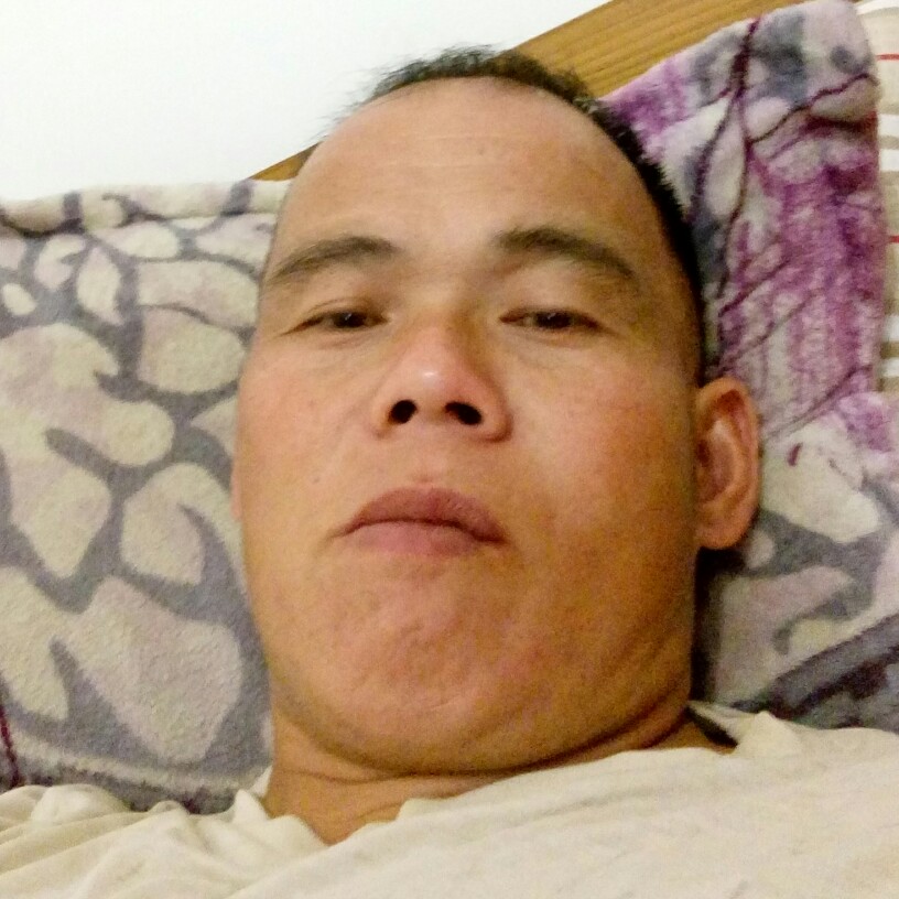 玫瑰迷路的照片