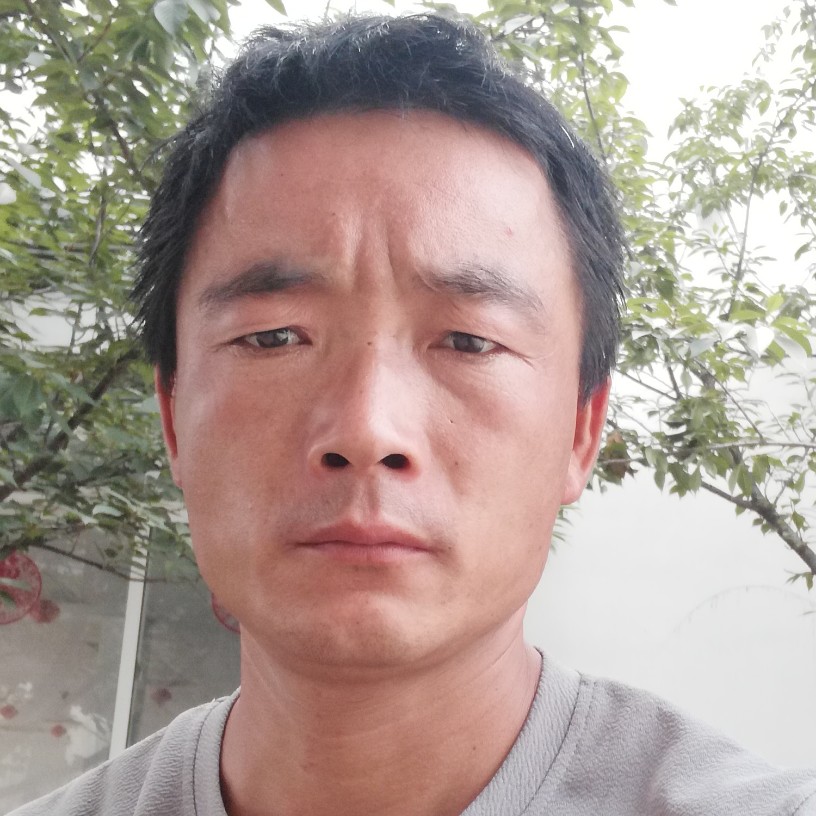 大门向我们的的照片