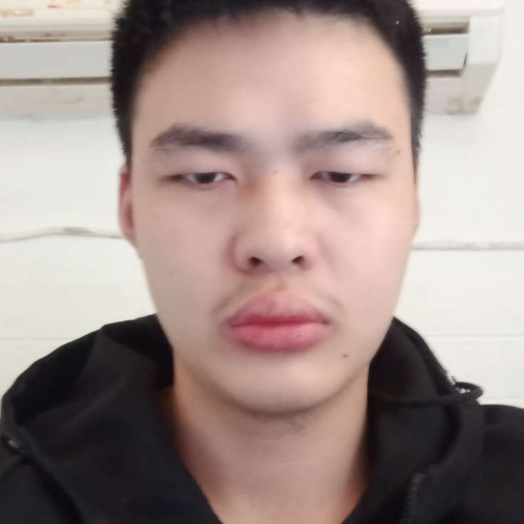 龙吟¹的照片