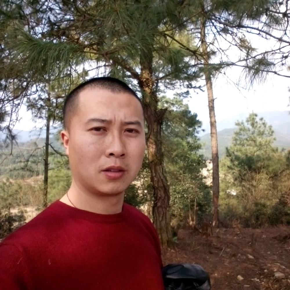 大炮等待的照片