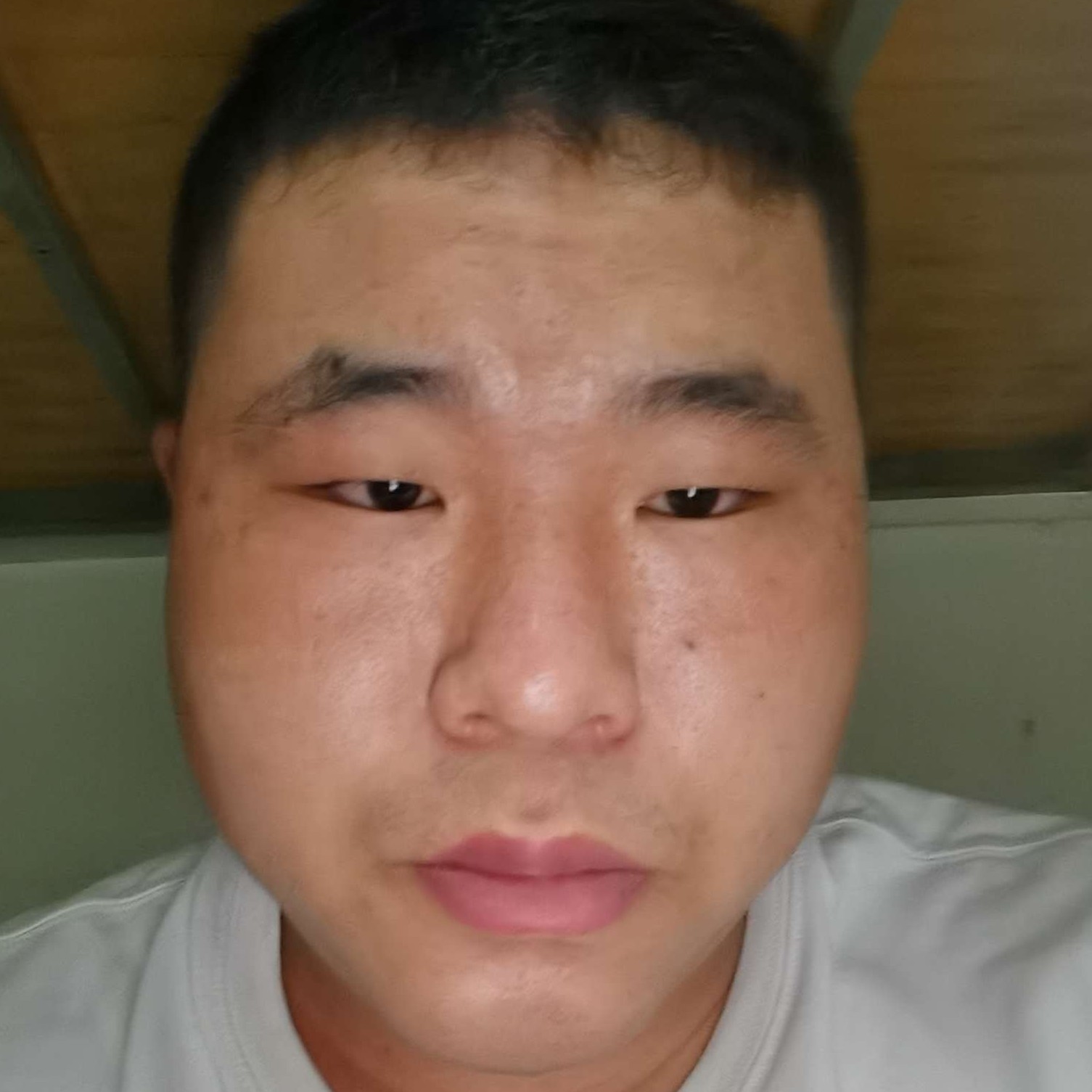 无可取代的生动的照片