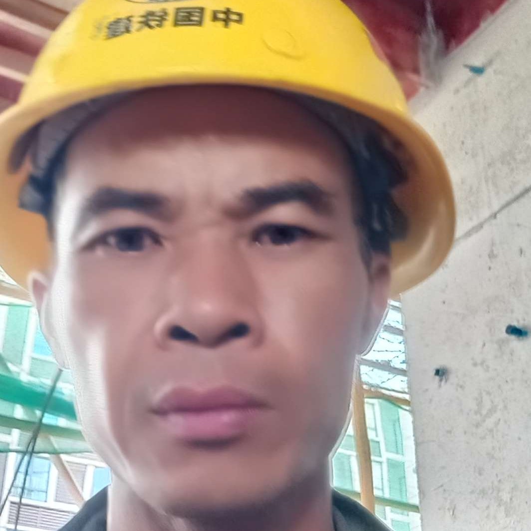 五桃一叶的照片