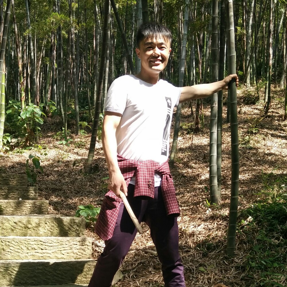 冷静红牛的照片